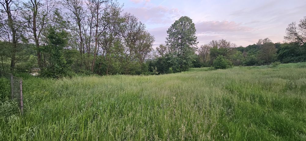 Vând urgent 1500mp INTRAVILAN cu utilități la drum  Ariceștii Zeletin cu vedere panoramică și parcelabil