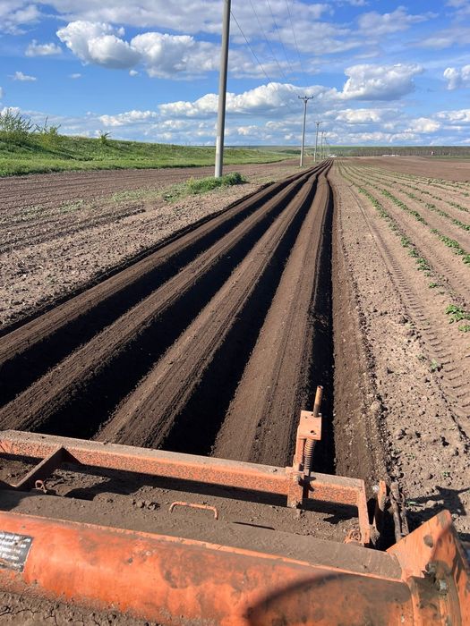 Freza rebilonat struik 4×75