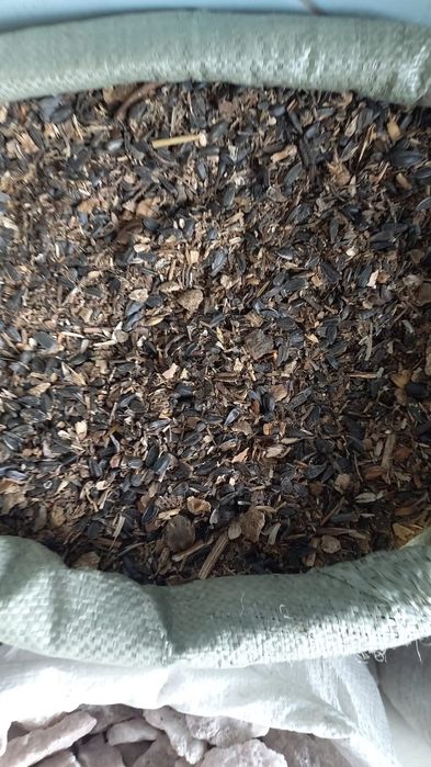 Реализуем зерновые культуры