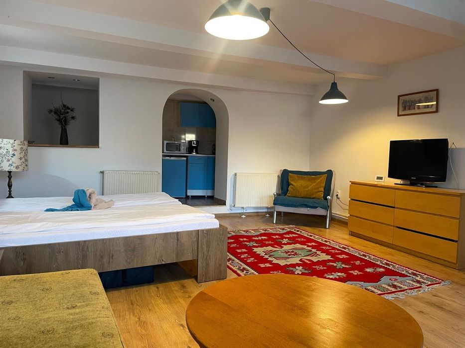 Ofer garsoniera regim hotelier Sibiu centru