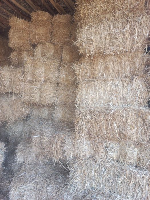 Пирес самон сотилади