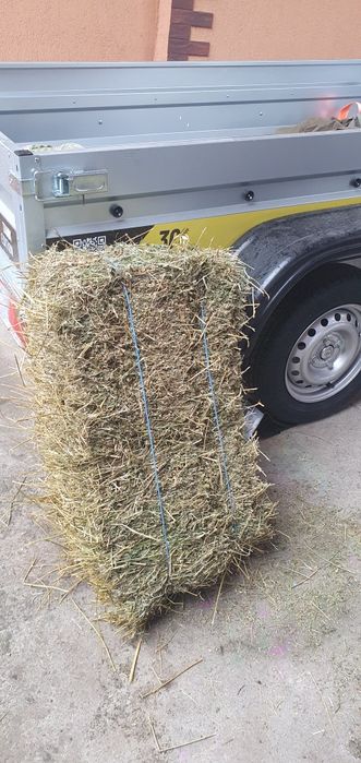 Vand baloti de lucerna