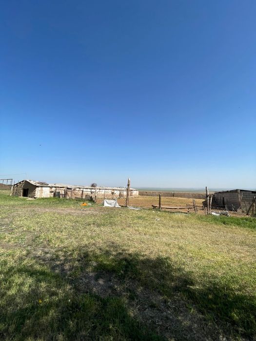 Фазенда в Акыртобе