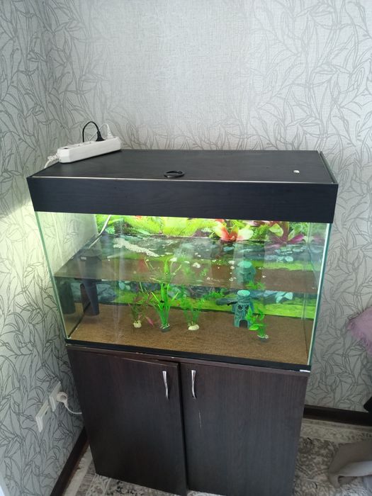Аквариум с тумбочкой