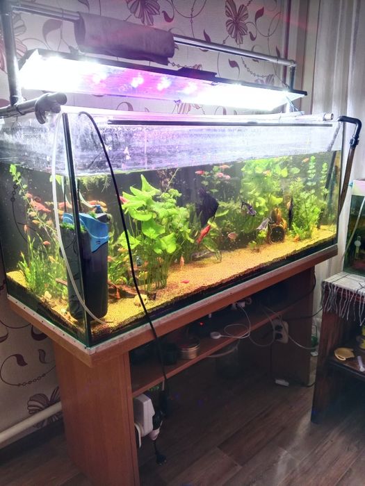 Продам аквариум в сборе