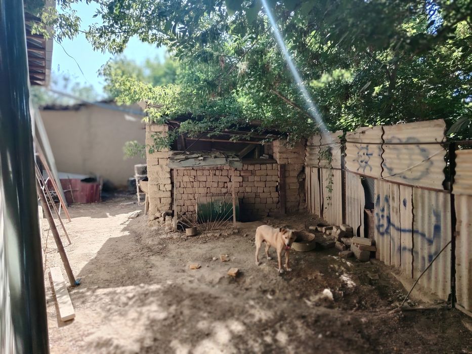 Уй сотилади канал буйида