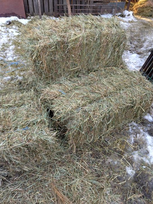 Baloți de fân (iarbă)