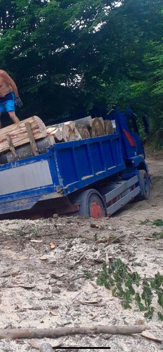 Lemne de foc!!!Cer,Fag,… Transport inclus…
