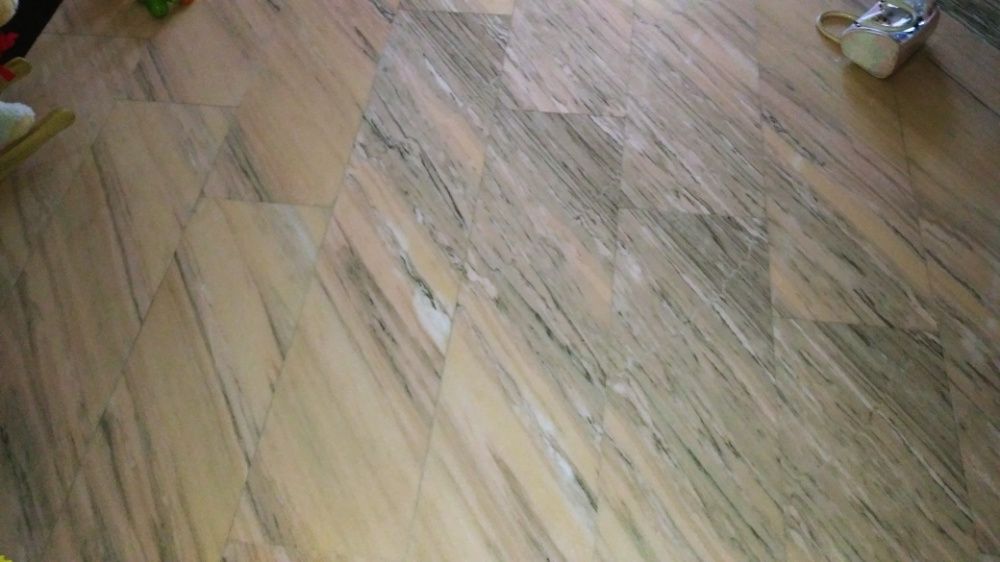 Marmura Ruschita Roz cu venaturi negre negre