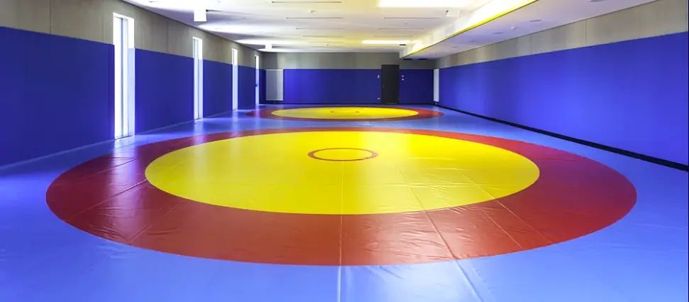Татами маты для борьбы / Kurash kover / MMA / Октагон / Спорт мат Mat