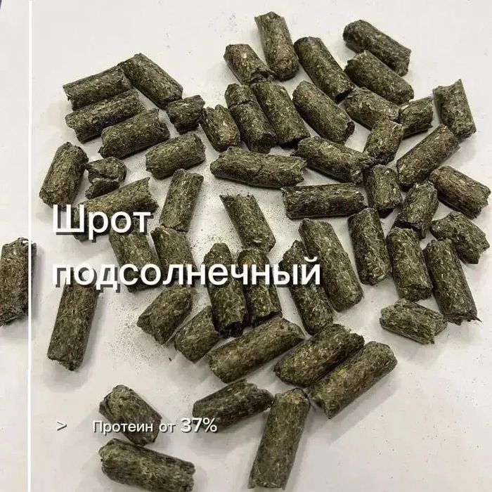 Кормовые компоненты