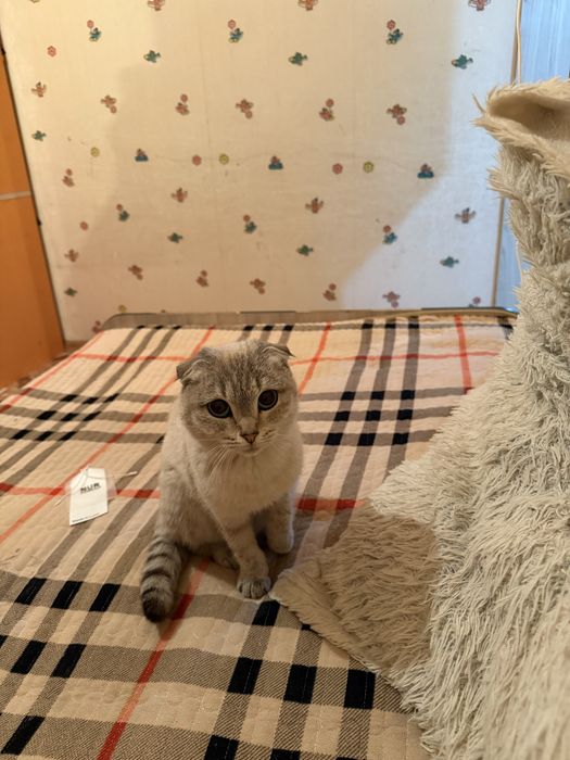 Есектегі секс