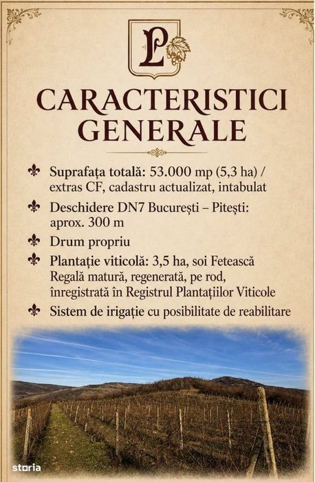 Teren de 53.000 mp cu vita de vie + Conac boieresc