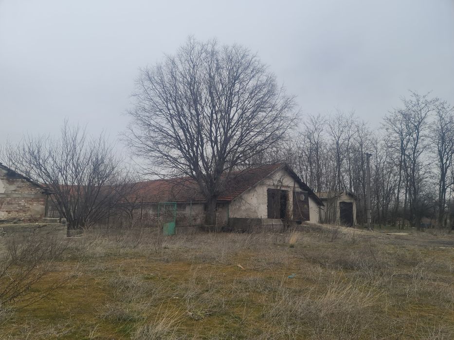 Продава се Парцел в с. Крумово, Област Ямбол - 10000 кв.м за 25 €/кв.м - Снимка #1