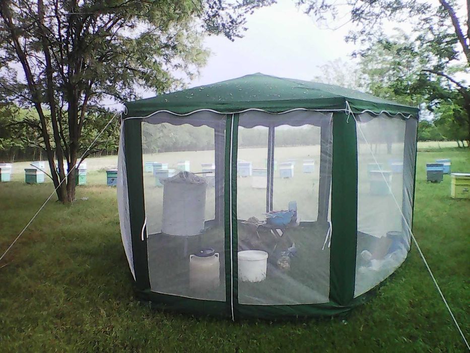 Miere de floarea soarelui