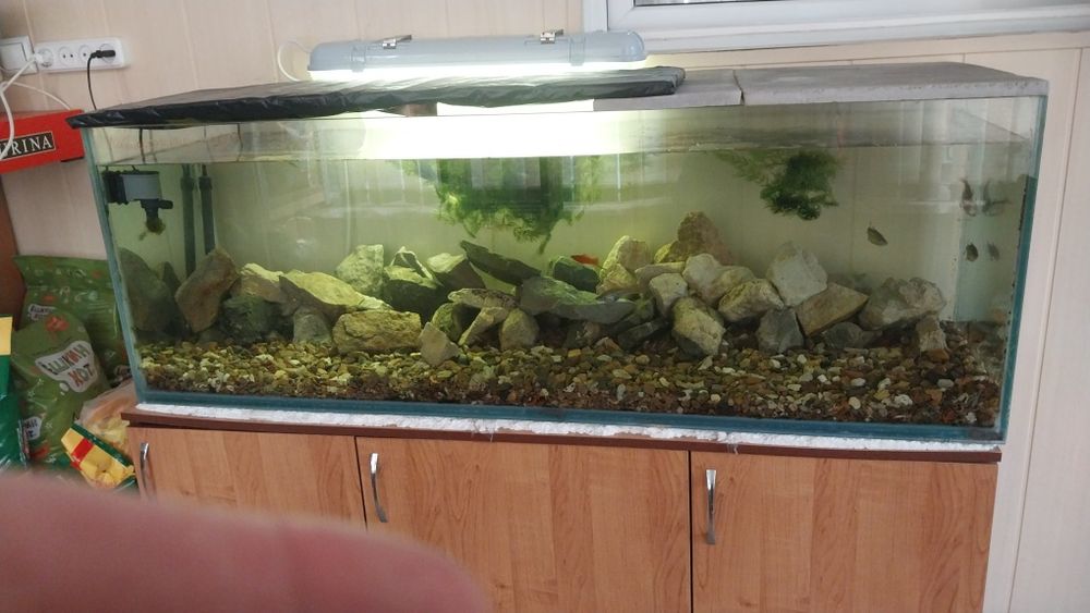 Распродажа Аквариумов Б/У