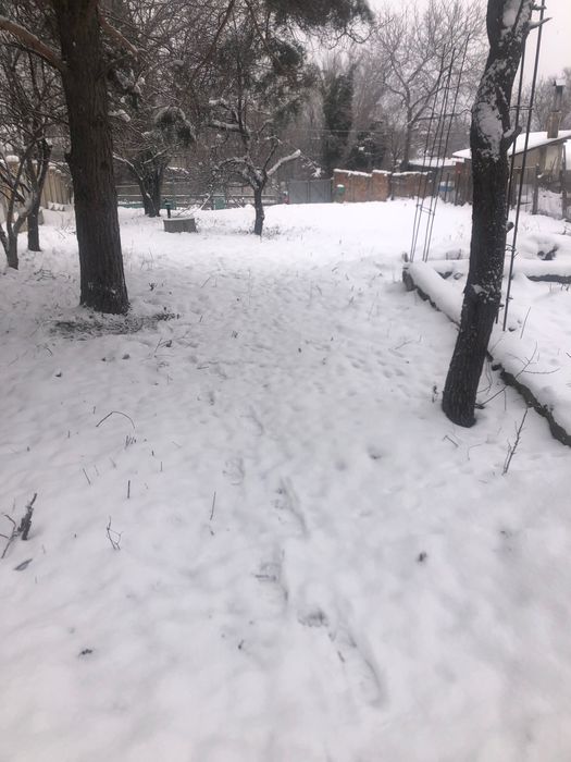 Продава се Парцел в с. Пролеша, Област София-област - 790 кв.м за 128 €/кв.м - Снимка #4