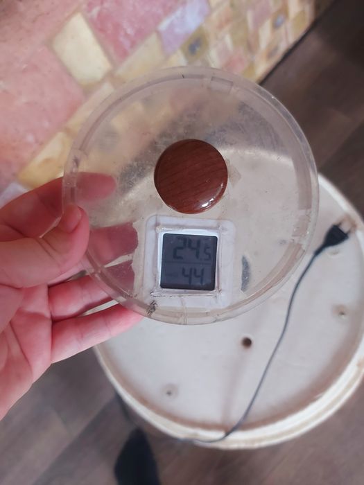 Инкубатор Иртыш.