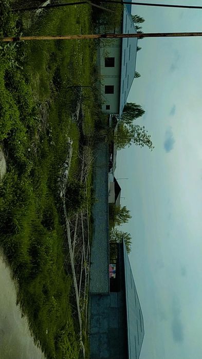 12 сотох участка