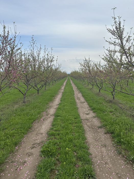 Тайёр бизнес сотилади