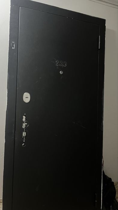 Входной дверь.Железный дверь