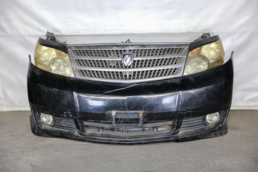 Ноускат миниморда