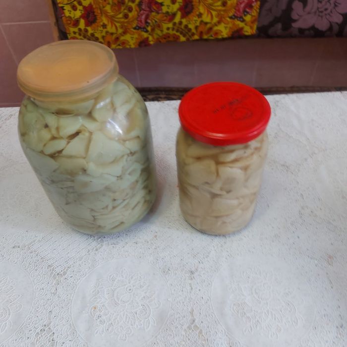 Продам грибы груздья