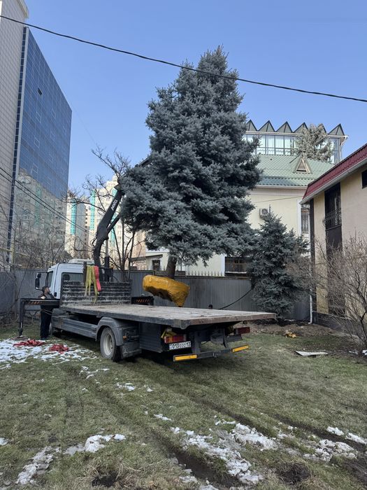 Услуги большого манипулятора Алматы