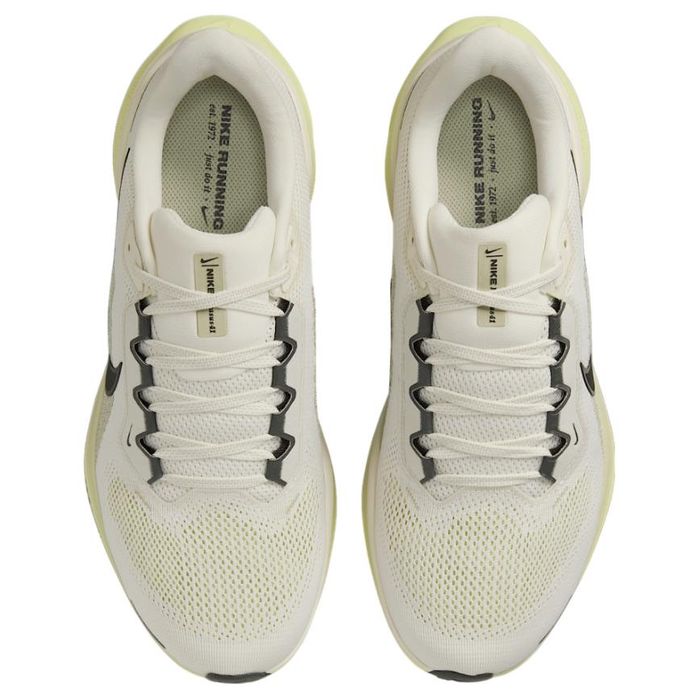 Nike Air Zoom Pegasus 41