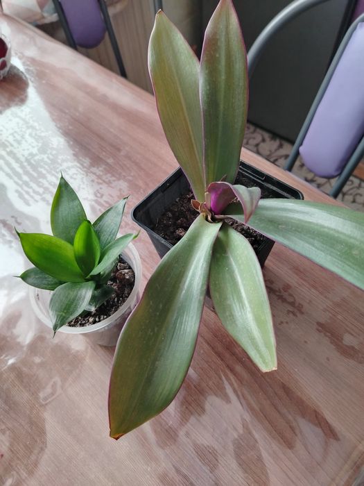 Продам за 1000тг