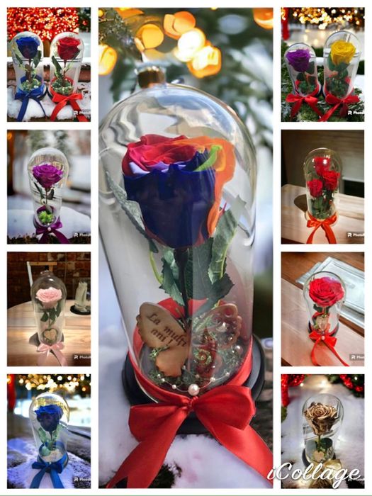 Cadou trandafir criogenat in cupola