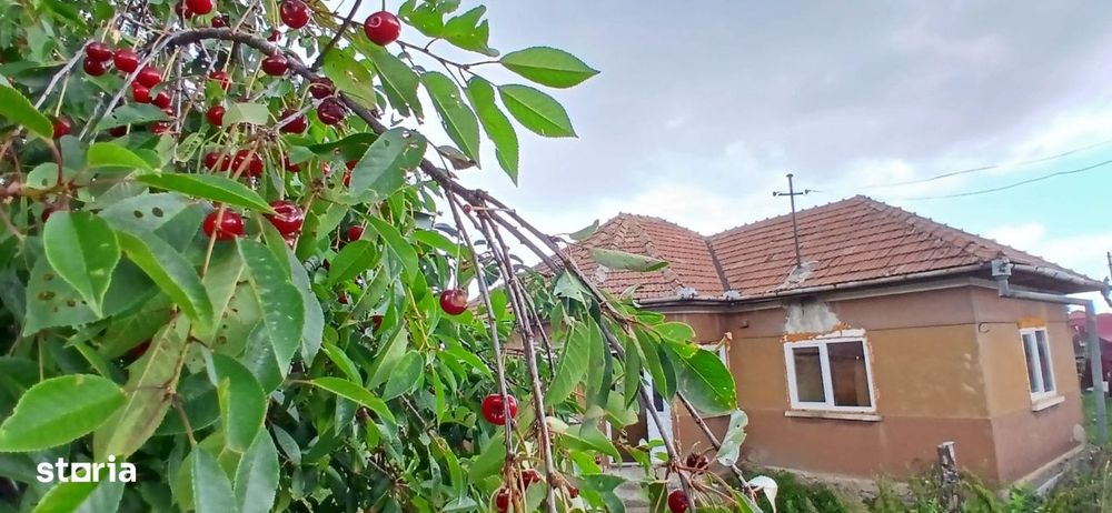 Casa din caramida in centru loc. Dangau Mare, la 40 min. de Cluj-Napoc