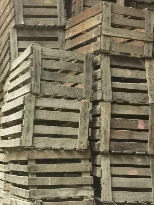 Продам Ящики для яблок