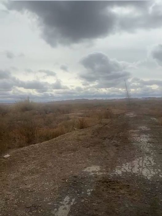 Земля 2.5 га под промбазу с ждпутями