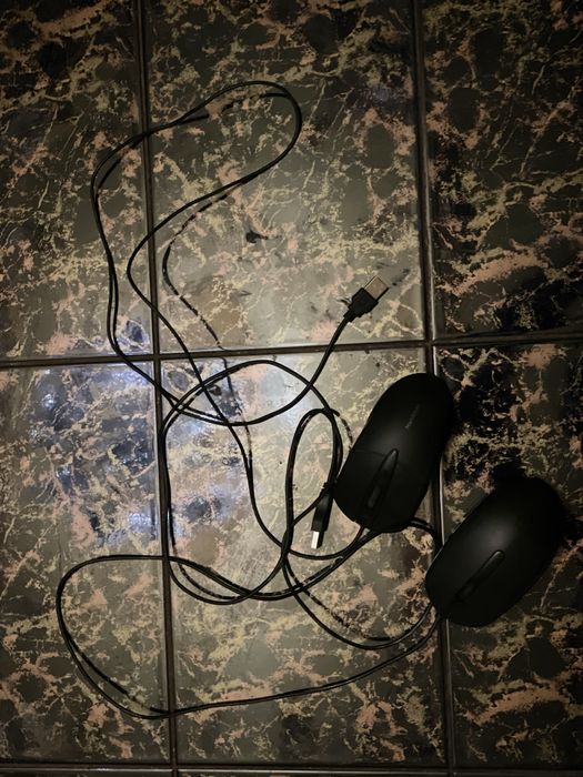 Продам мышки, 35.000 за шутку СРОЧНО!