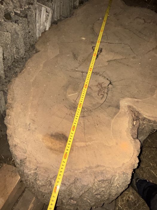 Rondele lemn nuc de peste 300 ani