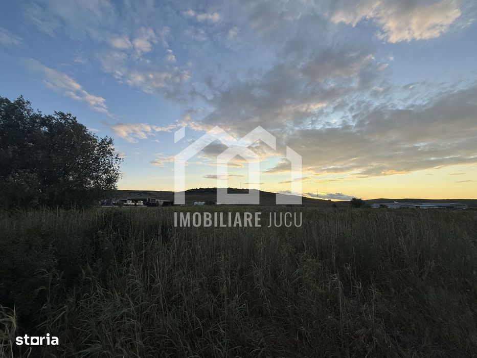 Teren – 7.194 mp | Răscruci – Zona Tetarom