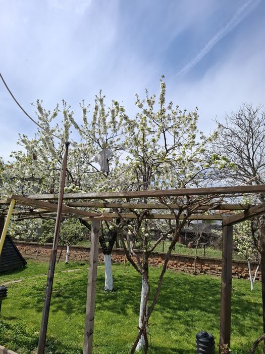 Къща под наем в Елин Пелин