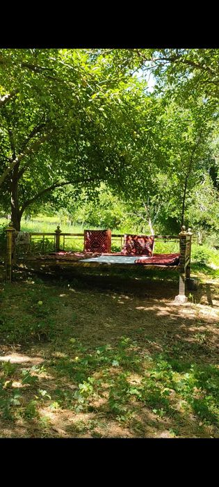 Soya salqin bog', atrof esa tinch va sokin.