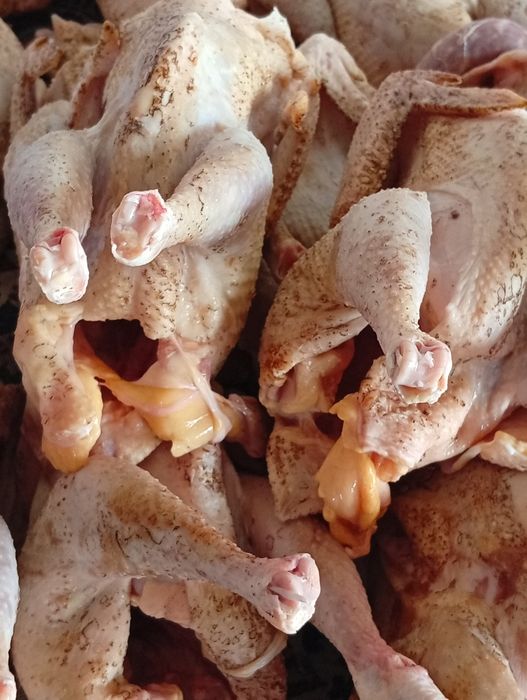 Продам мясо домашней птицы