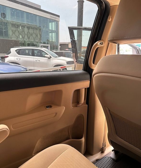 Kia carnival 2019 Benzin