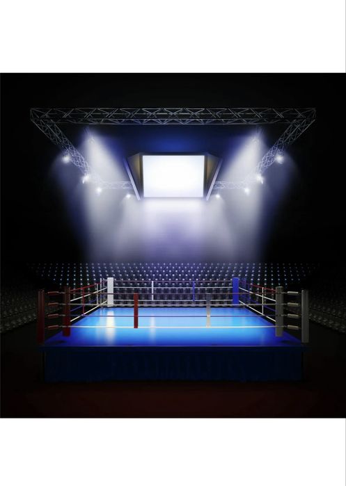 Ринг боксерский (напольный)
