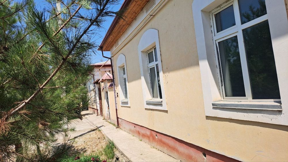 Срочний котеж сотилади