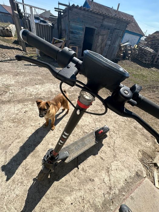 Электросамокат Tribe Maya