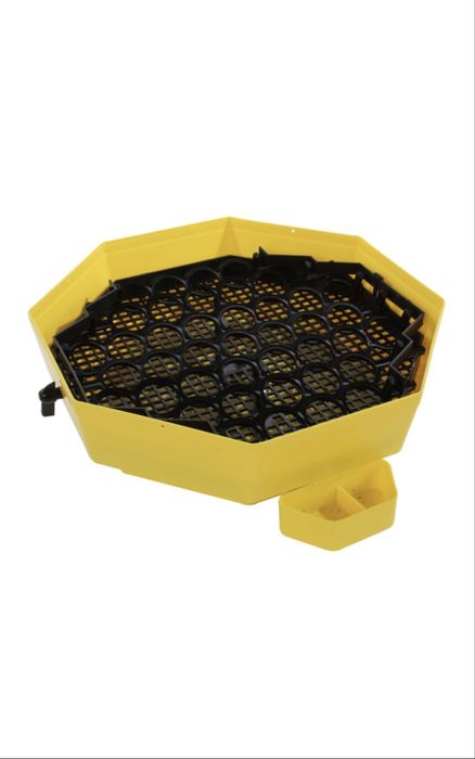 Incubator pentru oua Cleo 5DTH