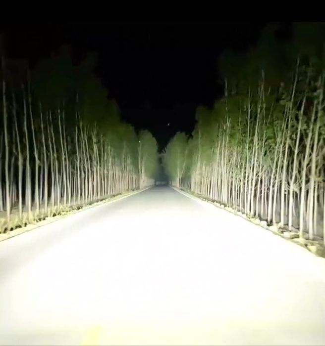 Becuri LED D2S D2R  Canbus  12V-24V  60000LM set 2buc