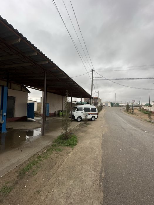 Naqt pul zaril kerak