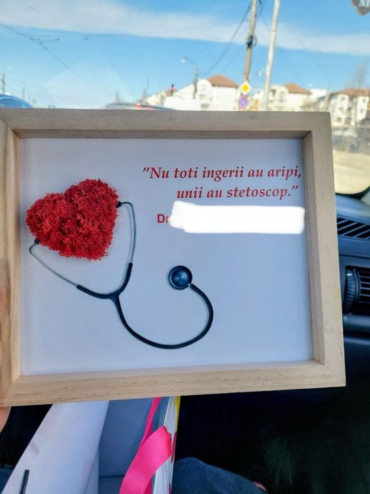 Tablouri cu licheni stabilizati, muschi si flori