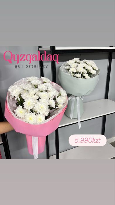 Цветы Шымкент qyzgaldaq