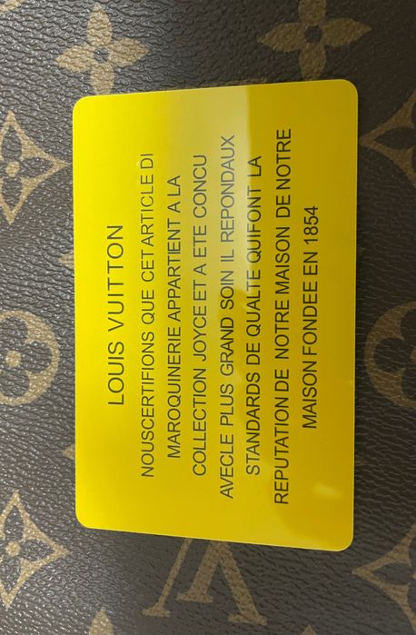 Geanta Louis Vuitton